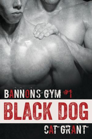 Book cover of Black Dog