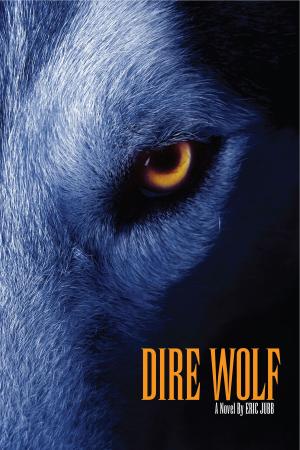 Cover of the book Dire Wolf by James Dean Foley