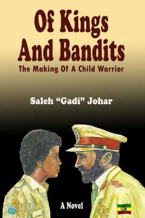 Cover of Of Kings and Bandits