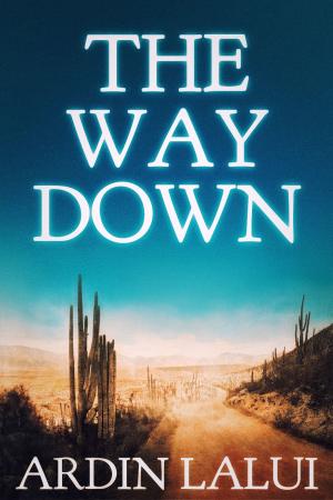 Cover of the book The Way Down by Dynion Golau