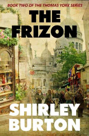 Cover of the book The Frizon by JB Clemmens