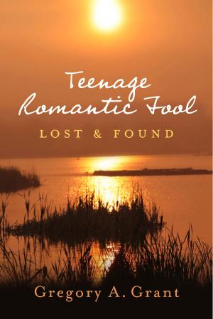Cover of Teenage Romantic Fool