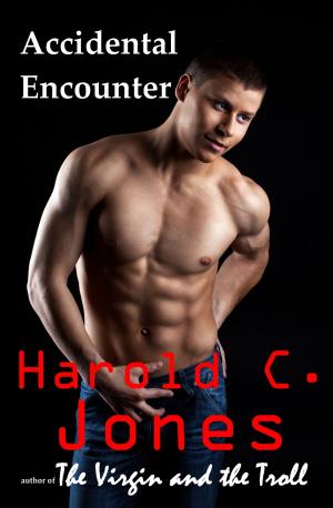 Book cover of Accidental Encounter