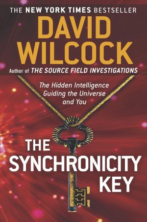 Book cover of The Synchronicity Key