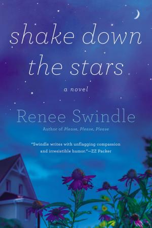 Book cover of Shake Down the Stars