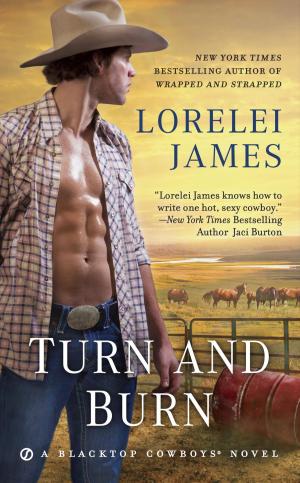 Cover of the book Turn and Burn by Laura Childs, Terrie Farley Moran
