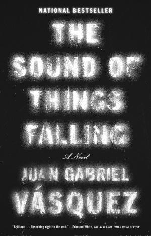 Cover of the book The Sound of Things Falling by Nouriel Roubini, Stephen Mihm