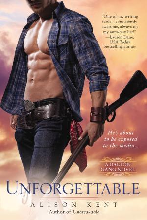 Cover of the book Unforgettable by Faith Hunter