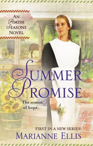 Cover of the book Summer Promise by Mark Hughes