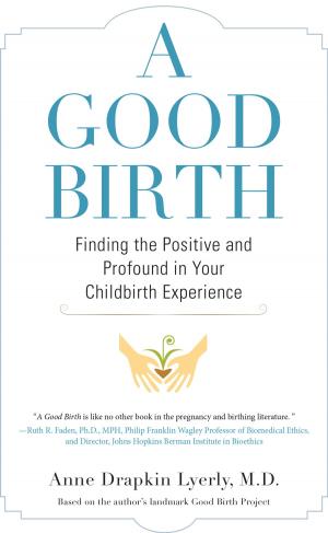 Cover of the book A Good Birth by Anita Barrows