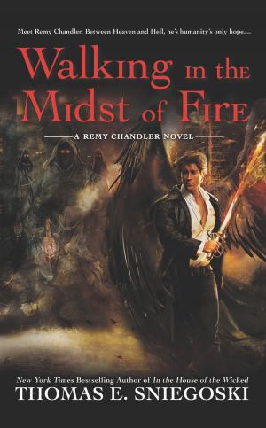 Cover of the book Walking In the Midst of Fire by Josephine Humphreys