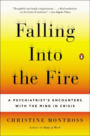 Cover of the book Falling Into the Fire by Franny Moyle