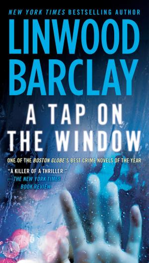 Cover of the book A Tap on the Window by 丹尼爾．艾伯罕(Daniel Abraham)