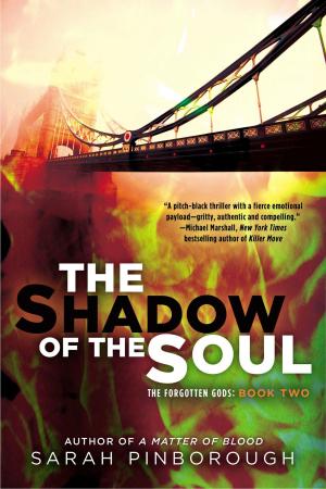 Cover of the book The Shadow of the Soul by David S. Goyer, Michael Cassutt