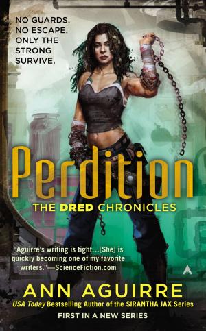 Cover of the book Perdition by David S. Goyer, Michael Cassutt