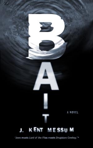 Cover of the book Bait by William Gaddis, Joseph Tabbi
