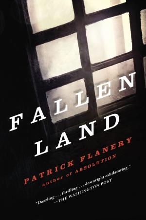 Cover of the book Fallen Land by Sara Paretsky