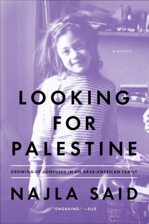 Cover of the book Looking for Palestine by Roni Loren