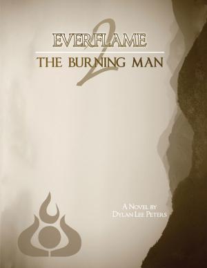 Book cover of Everflame 2: The Burning Man