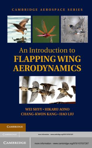 Book cover of An Introduction to Flapping Wing Aerodynamics