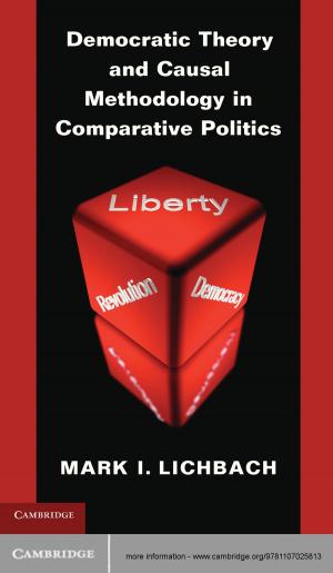 Cover of the book Democratic Theory and Causal Methodology in Comparative Politics by Hayley Stevenson, John S. Dryzek