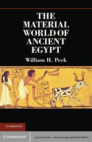 Cover of the book The Material World of Ancient Egypt by Rolf A. Lundin, Niklas Arvidsson, Tim Brady, Eskil Ekstedt, Christophe Midler, Jörg Sydow