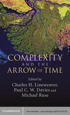 Cover of the book Complexity and the Arrow of Time by Sizt Elilo