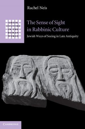 Book cover of The Sense of Sight in Rabbinic Culture