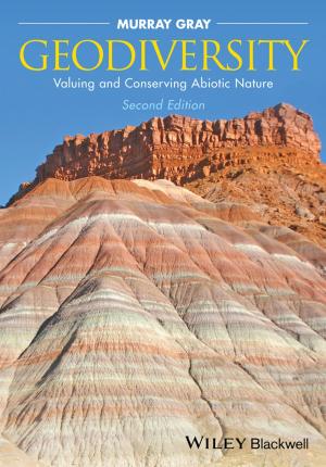Cover of the book Geodiversity by Dariush Derakhshani
