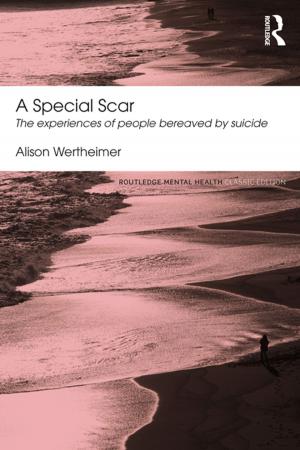 Cover of the book A Special Scar by Ann Goelitz