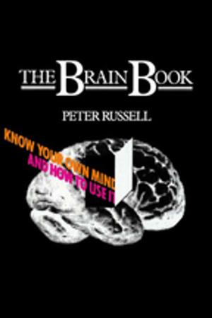 Cover of the book The Brain Book by Faltin Karlsen