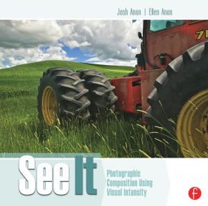 Book cover of See It: Photographic Composition Using Visual Intensity