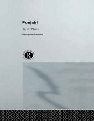 Cover of the book Punjabi by Gabriele Ast, Vamik D. Volkan