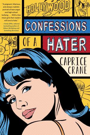 Cover of the book Confessions of a Hater by Cindy Anstey