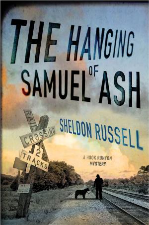 Book cover of The Hanging of Samuel Ash