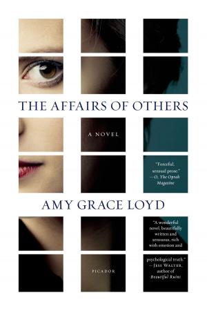 Cover of the book The Affairs of Others by Thrity Umrigar
