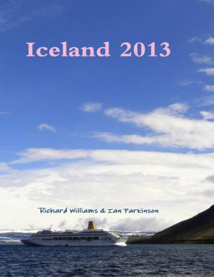 Cover of the book Iceland 2013 by Dennis Sidney Martin