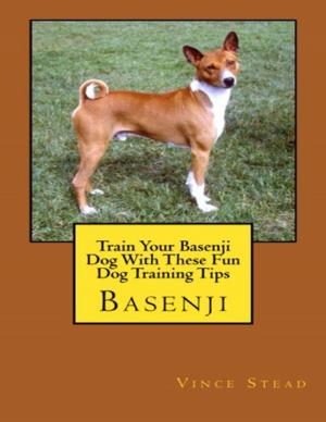 Book cover of Basenji: Train Your Basenji Dog With These Fun Dog Training Tips