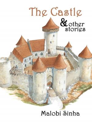 Cover of the book The Castle & Other Stories by Shafah