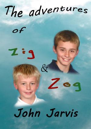 Book cover of The Adventures of Zig and Zog