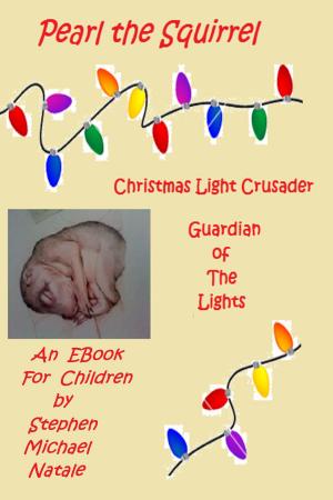Book cover of Christmas Light Crusader, Guardian of the Lights