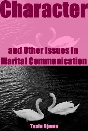 Cover of the book Character and Other Issues in Marital Communication by David Phillips