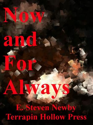 Cover of the book Now and For Always by Melissa Combs