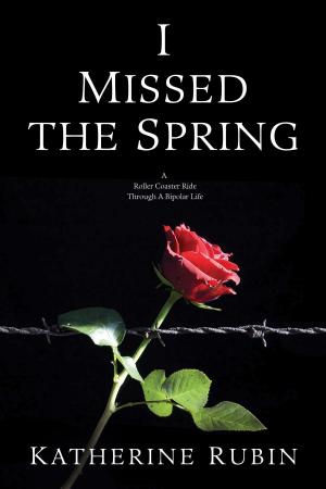 Cover of the book I Missed the Spring by LiBook