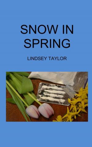 Book cover of Snow In Spring