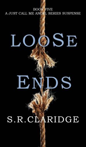 Cover of the book Loose Ends by Peter M Klismet Jr