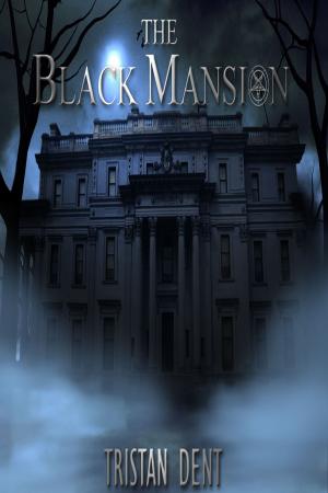 Cover of the book The Black Mansion by Matthew James Lee