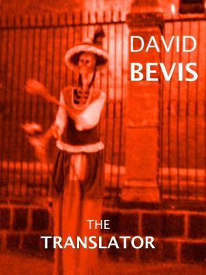 Cover of the book The Translator by David Werrett