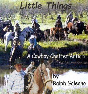 Cover of the book Little Things by Ralph Galeano