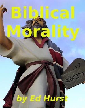 Cover of the book Biblical Morality by Gérard Prunier, Éloi Ficquet